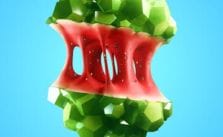 These Are the Low Poly Fruits That Will Make You Hungry by Gonzalo Ausejo