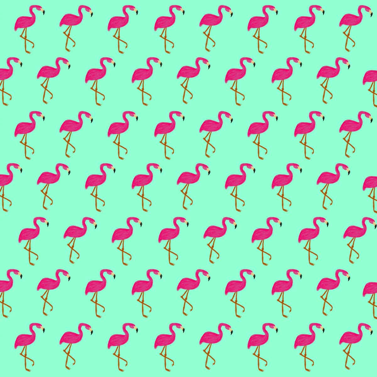 pink-flamingos-web