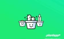 Plantapp - U Plant App by Carlos Pariente