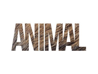 ALL-animals