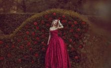 Roses by Edvina Meta