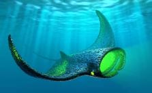 Artificial Life Oceans - Manta Ray by Tomasz Lechociński
