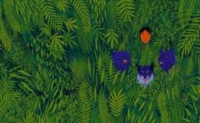 The Jungle Book by Anja Sušanj