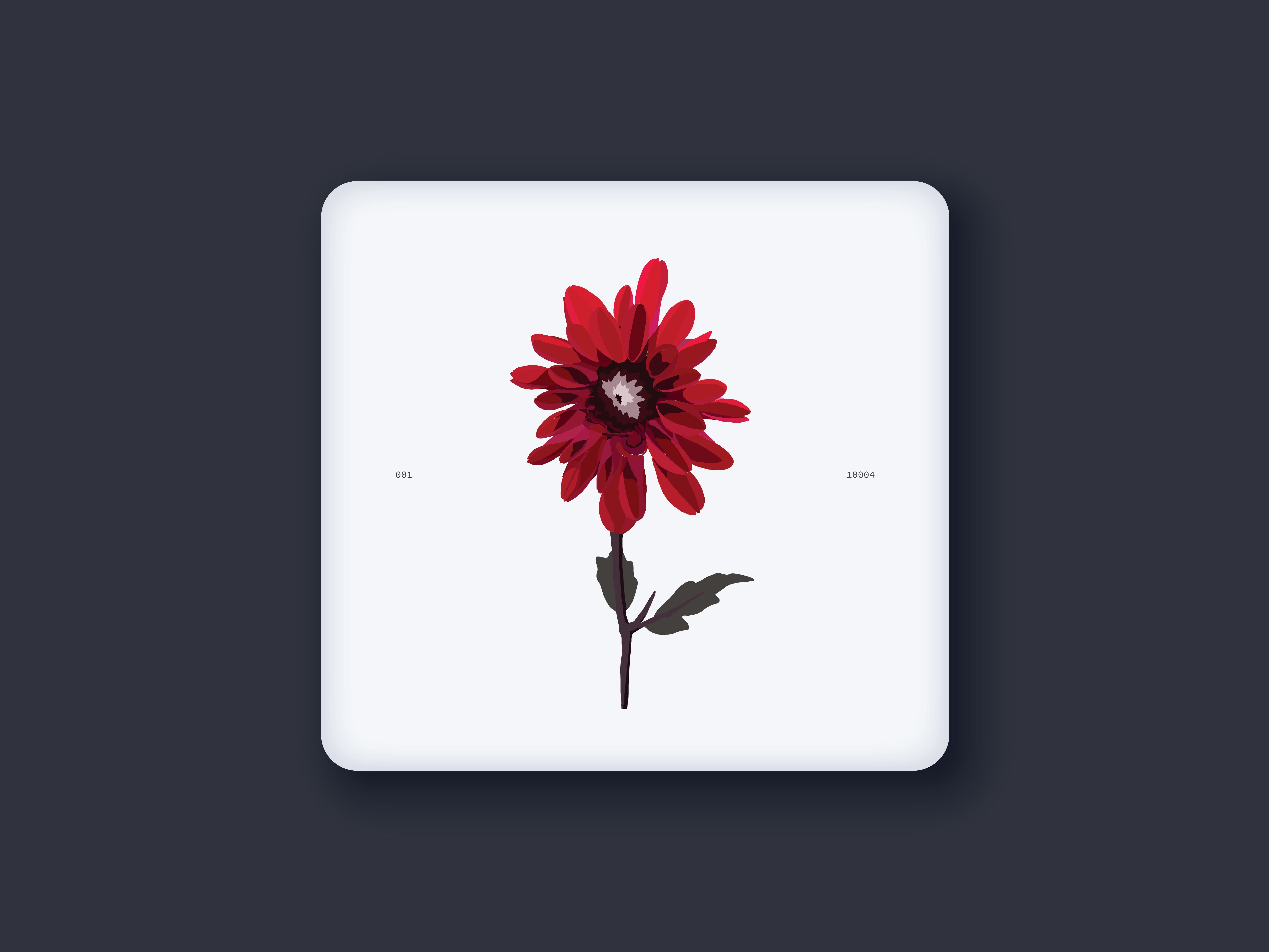 Flower Study