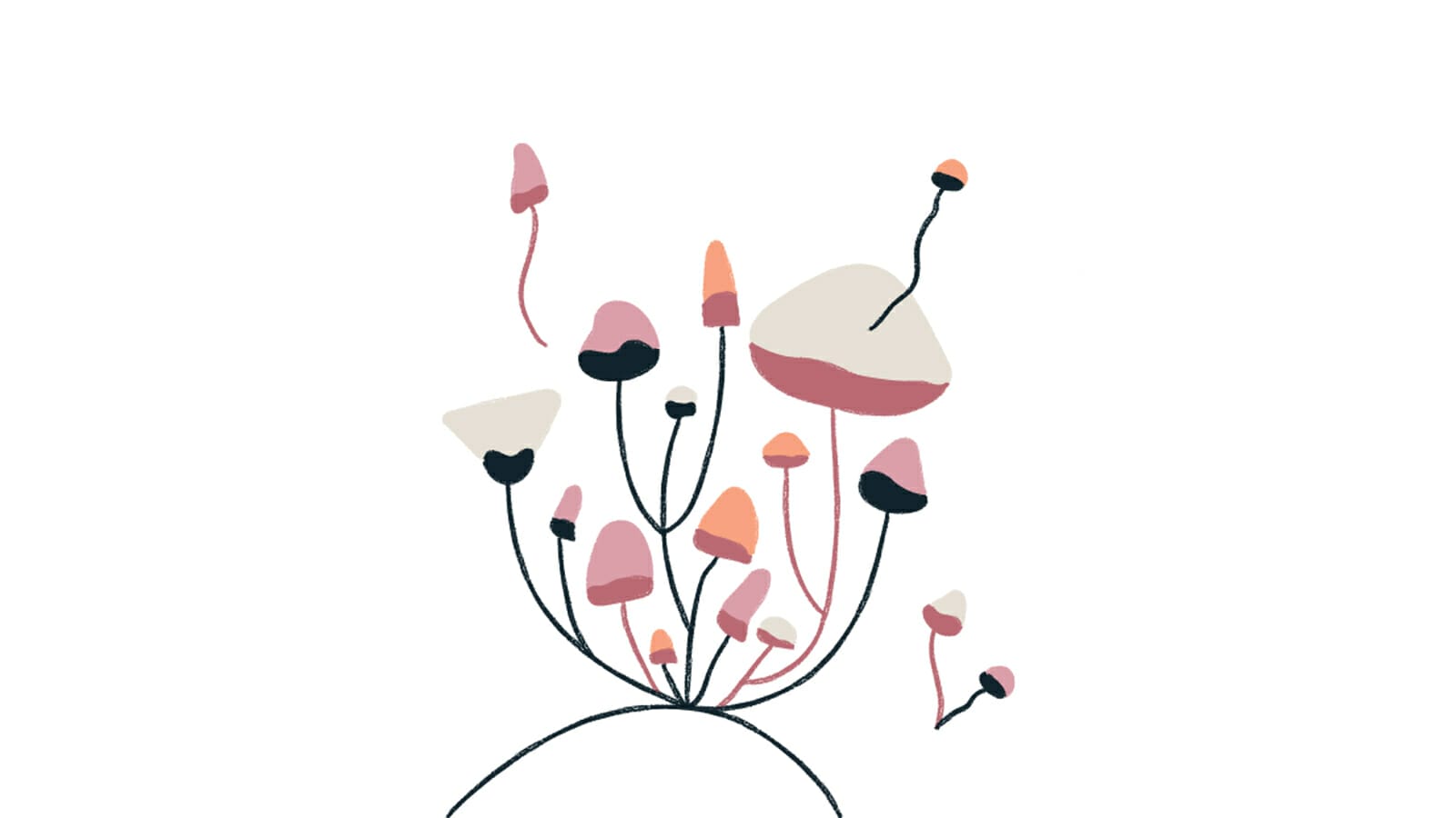 Mushroom Dictionary | Design Ideas