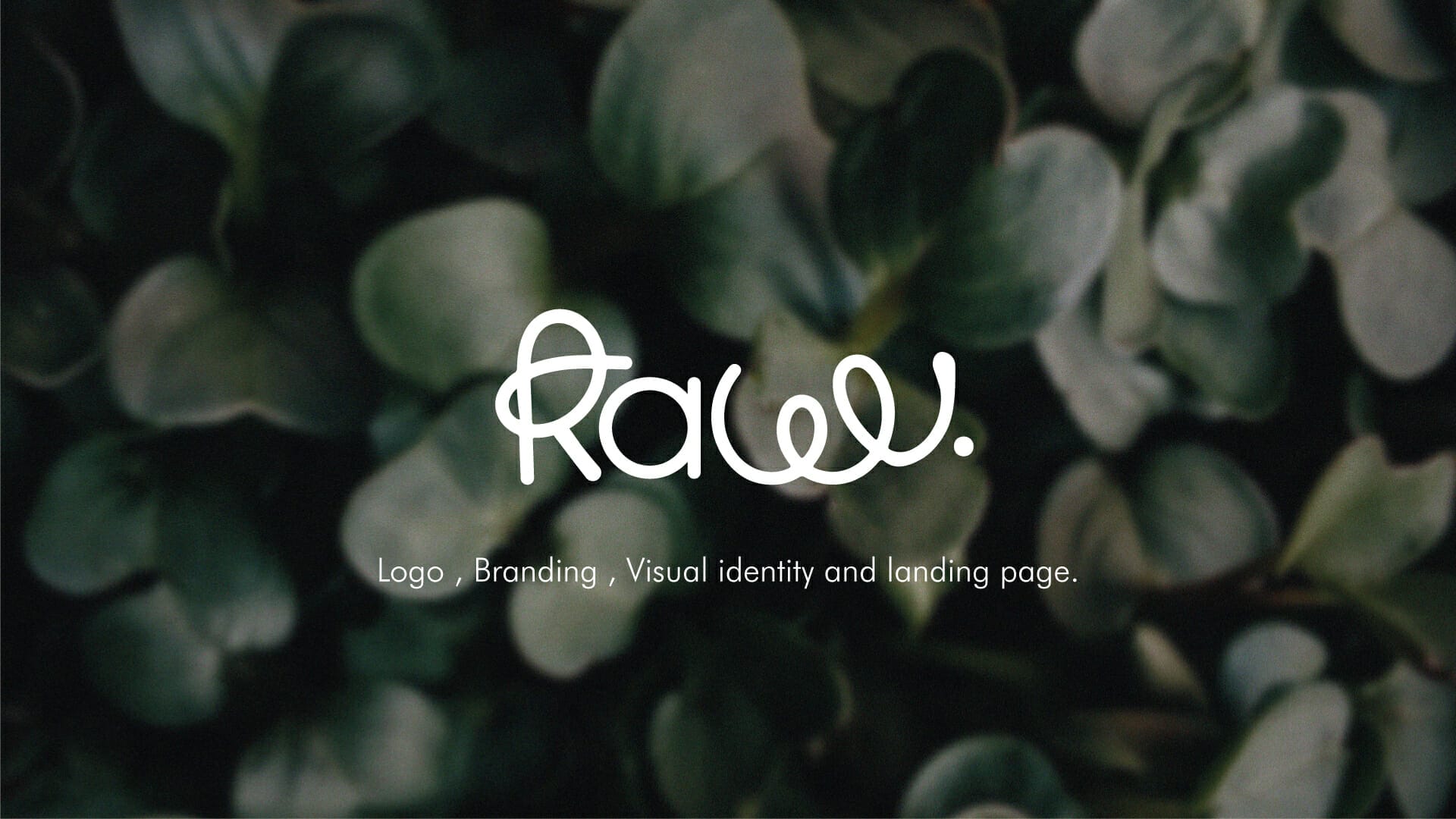 RawV Branding Visual identity and Landing page UI