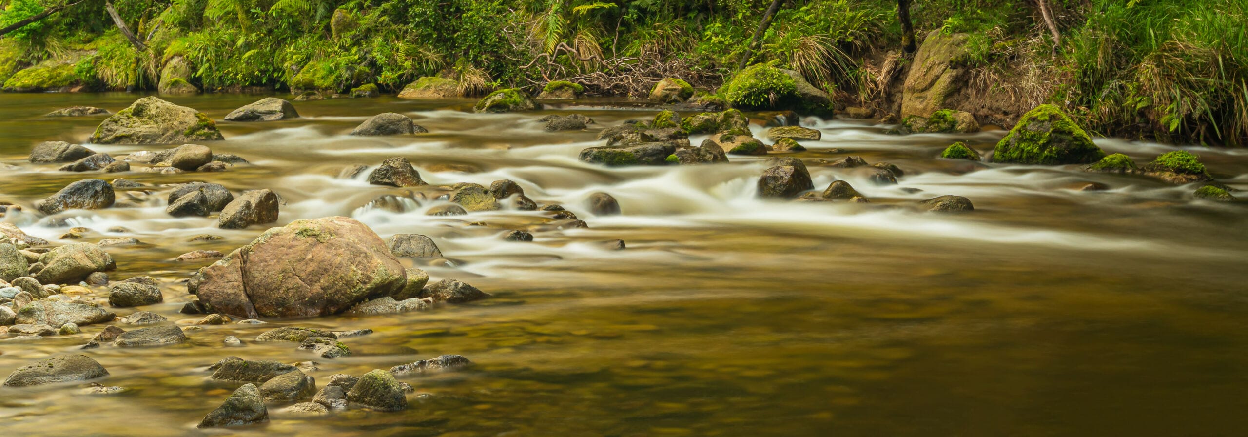 Wainui River Design Ideas