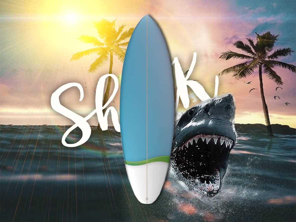 Shark Surfboards