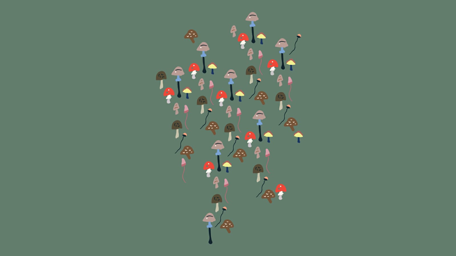 Mushroom Dictionary | Design Ideas