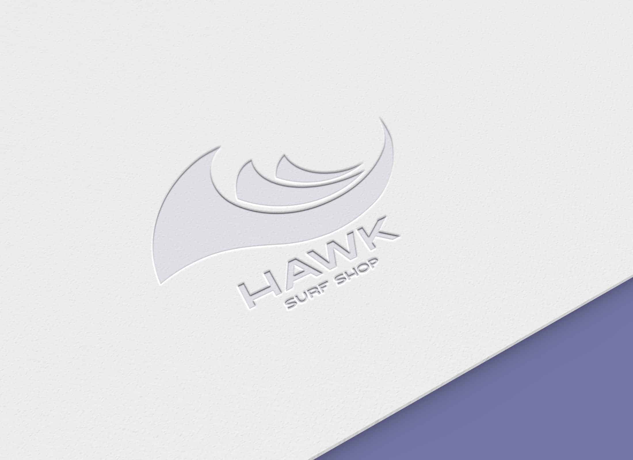 Hawk - Visual Brand