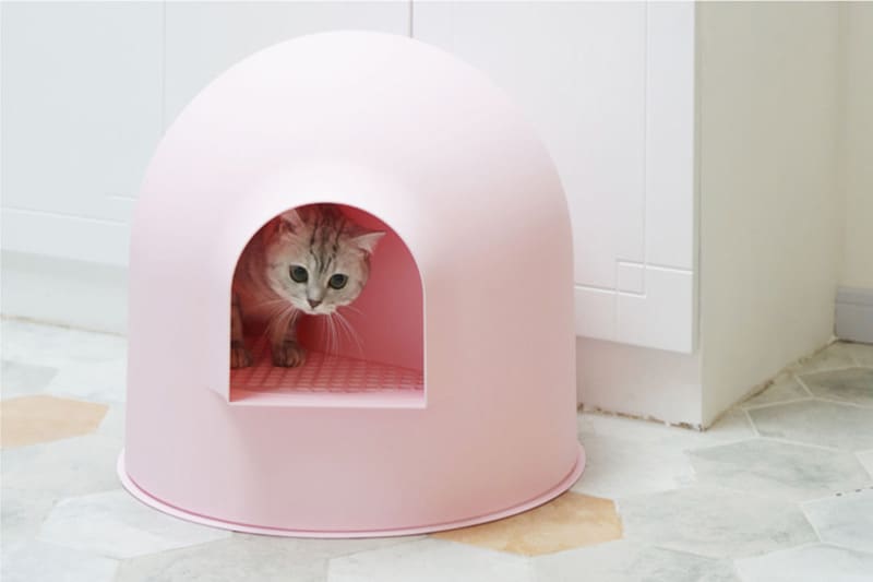 Cat litter outlet igloo