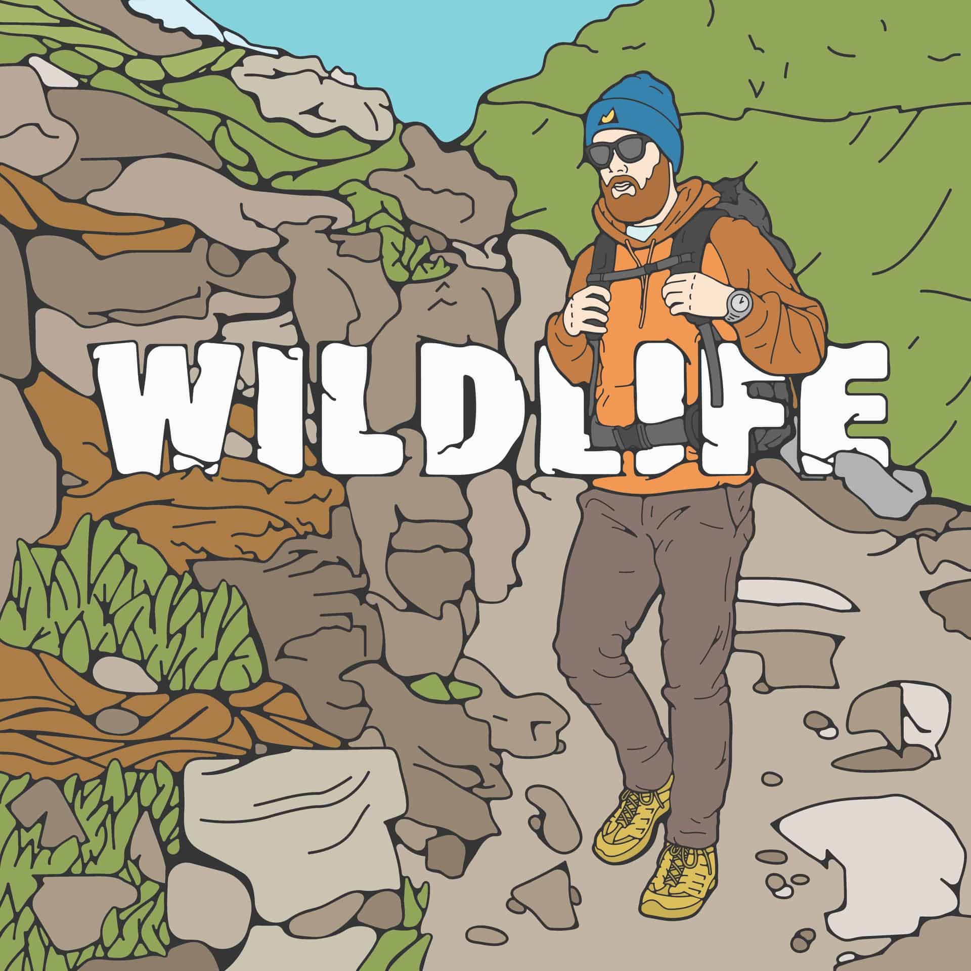 Selfinitiated illustrations Design Ideas