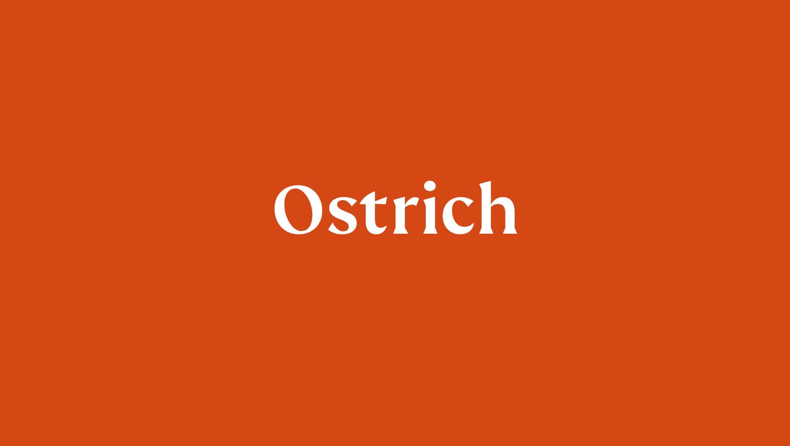 Ostrich