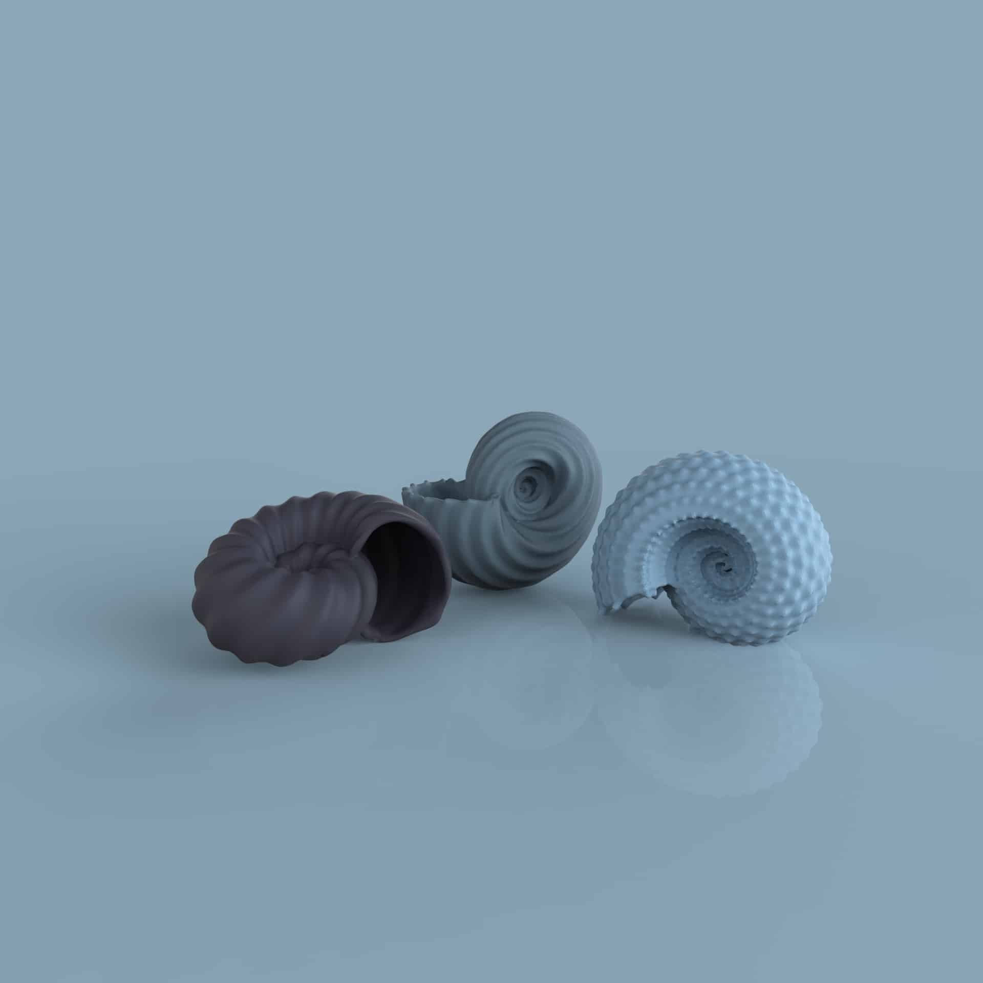 Nautilus Shell with nurbs bump