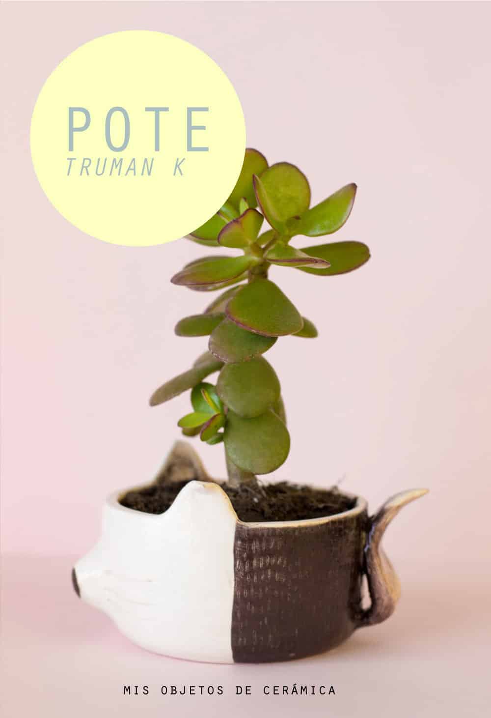 Pote | Design Ideas